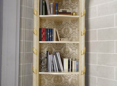 Schränke Design Barock Stil Vitrine Bar Schrank Massiv Regal Bücherregal Holz